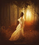 Autumn Light by ChieuMua