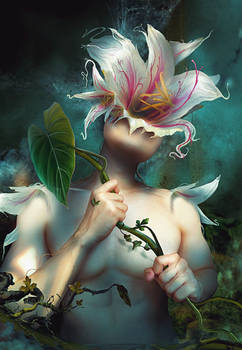 Lily Boy