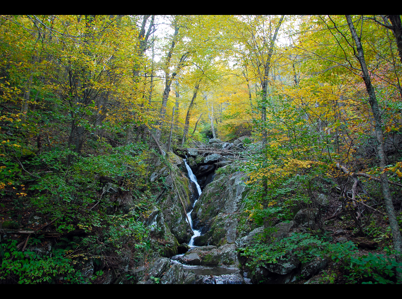 Lower Darkhollow Falls 2011