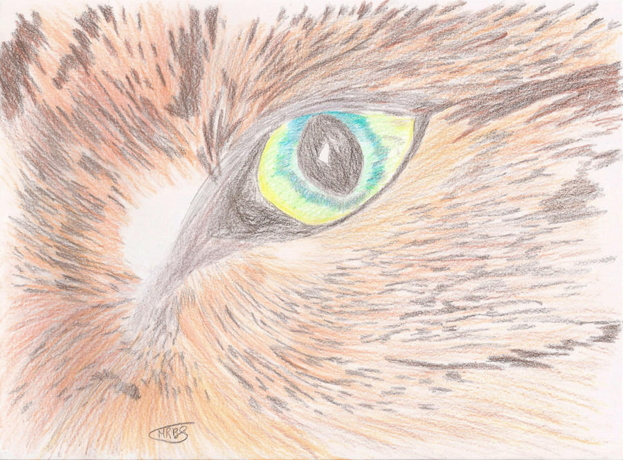 simba's eye by MeraniiZaynOushima on DeviantArt