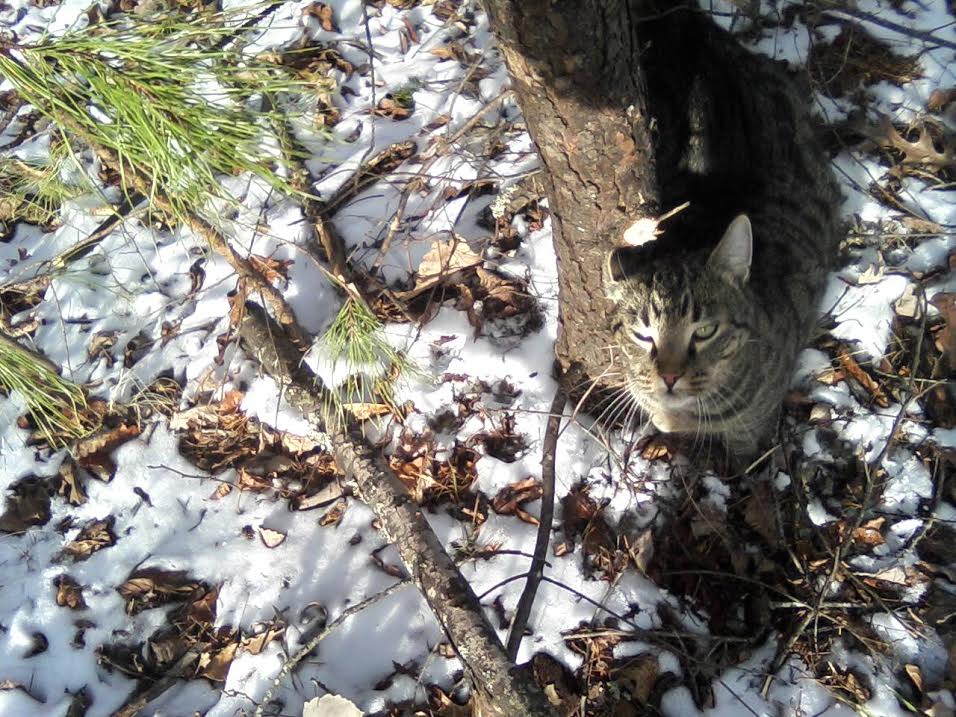 Andy in the snow