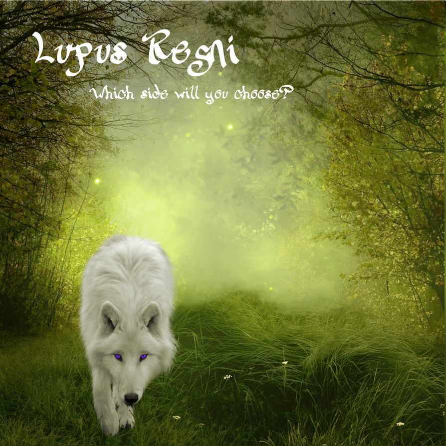 Lupus Regni - light wolf in meadow by RahlaWolf