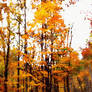 Southern Appalachia in Autumn