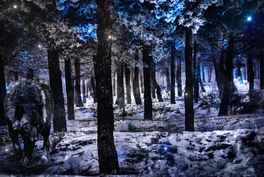 Snow-fairies falling, falling from the sky by RahlaWolf