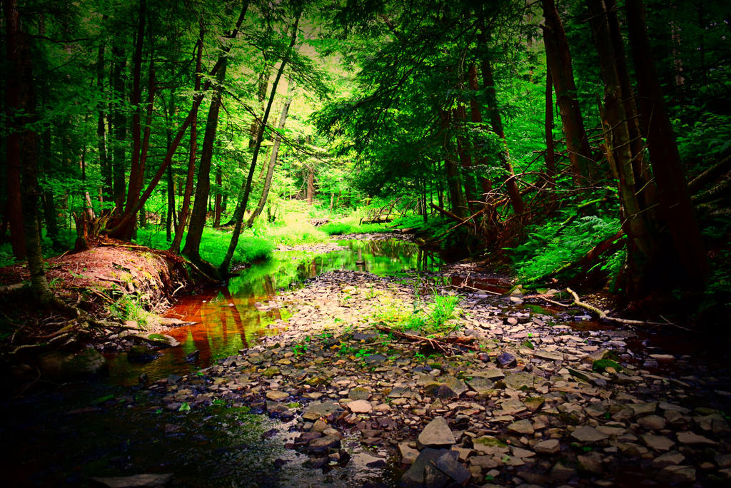 Lite splendor by cecil92 on DeviantArt