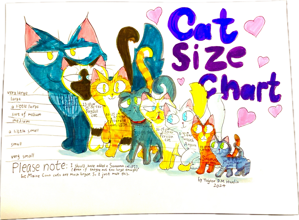 Cat size chart! by TDMH on DeviantArt