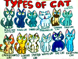 Types of cats