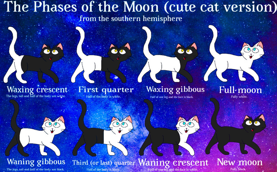 Cute cat phases of the moon! Southern hemisphere by TDMH on DeviantArt
