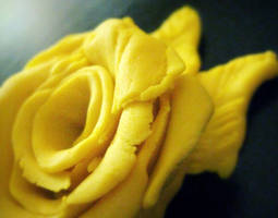 Yellow Rose 3