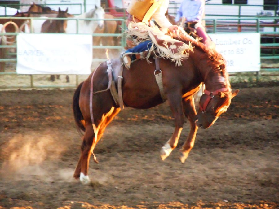 Rodeo 14 by Kelkis on DeviantArt