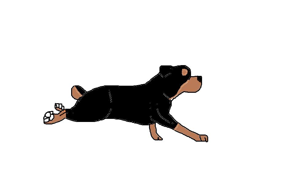 Cute Rottweiler Gif