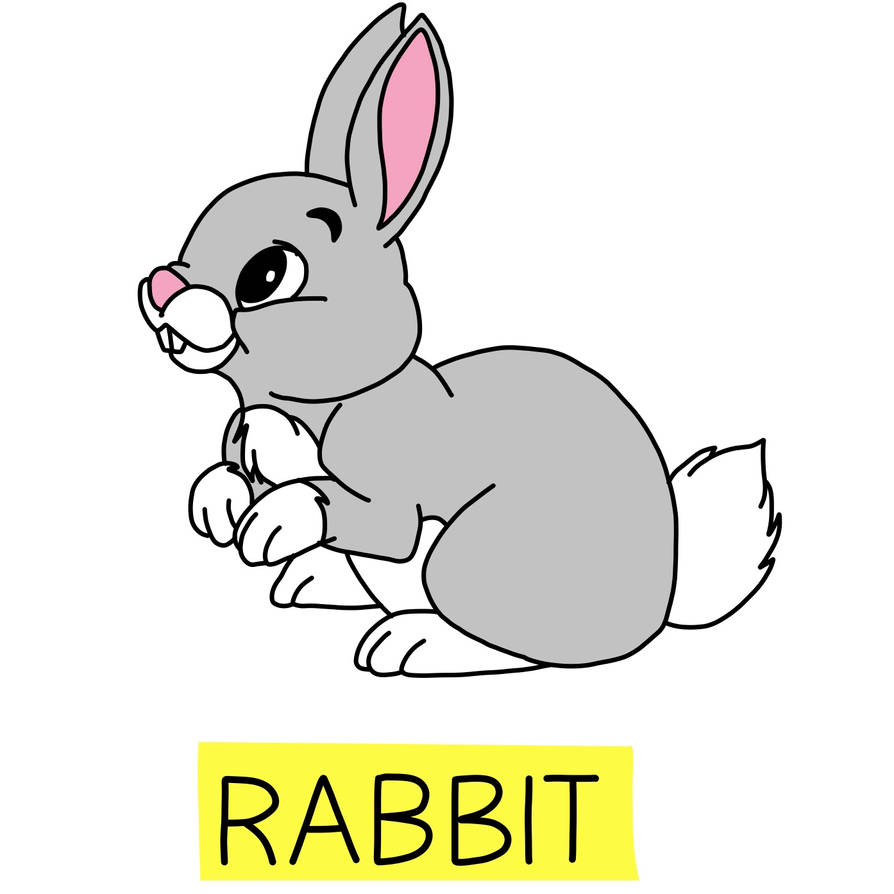 Rabbit by ThomasCarr0806 on DeviantArt