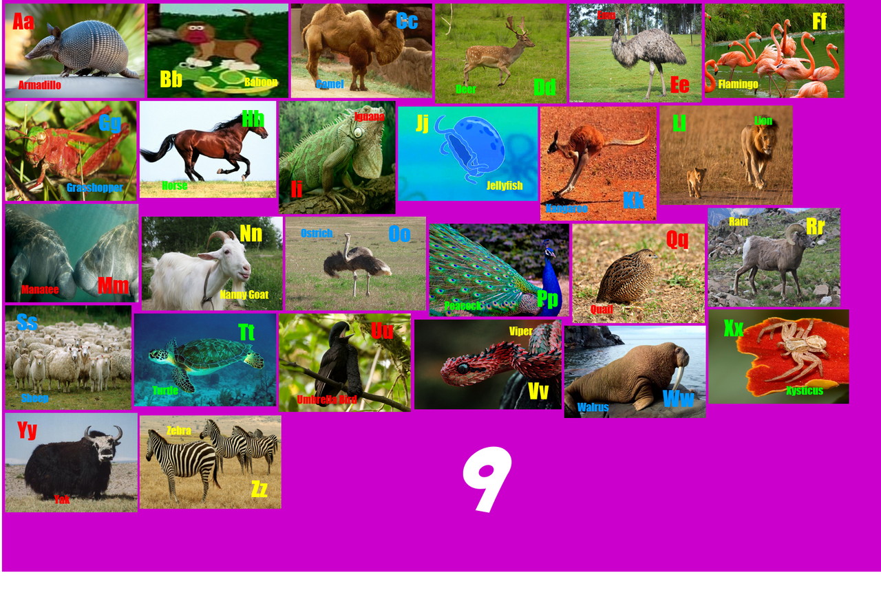 Animal Alphabet 9 By ThomasCarr0806 On DeviantArt animal-alphabet-9-by-thomascarr0806-on-deviantart