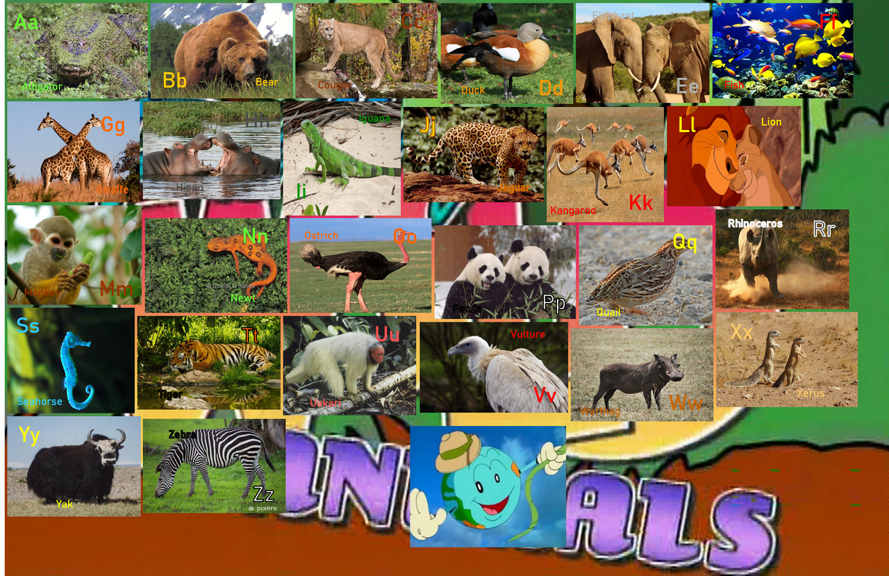 Really Wild Animal Alphabet With Spin by ThomasCarr0806 on DeviantArt