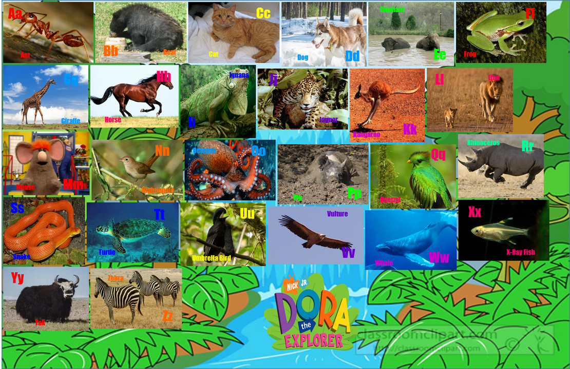 Dora's Animal Alphabet by ThomasCarr0806 on DeviantArt Dora's Animal Alphabet by ThomasCarr0806 on DeviantArt