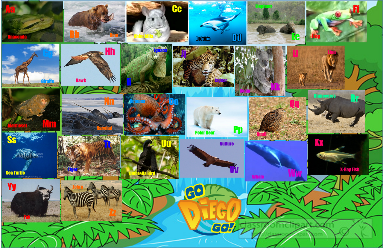 Go Diego Go Animal Alphabet by ThomasCarr0806 on DeviantArt