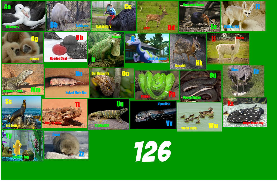 Animal Alphabet 126 by ThomasCarr0806 on DeviantArt