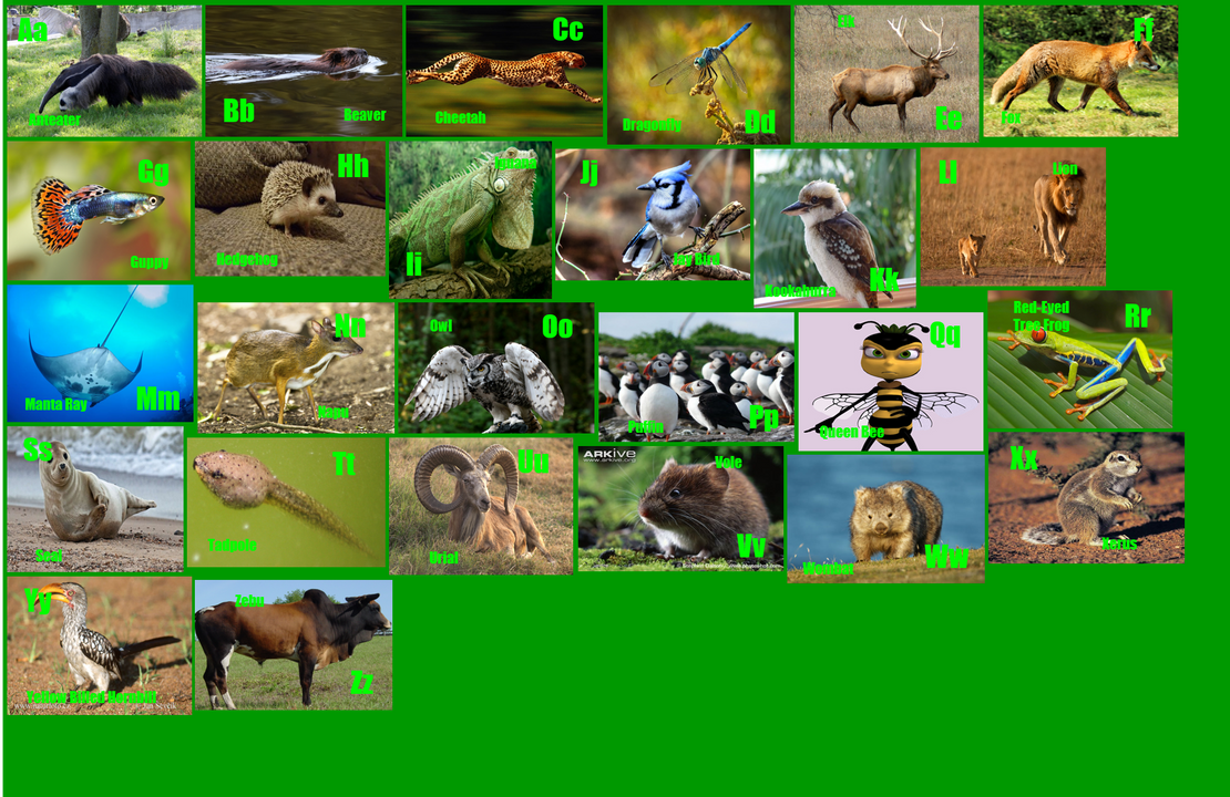 Green Animal Alphabet 4 By ThomasCarr0806 On DeviantArt Green animal alphabet 4 by thomascarr0806 on deviantart