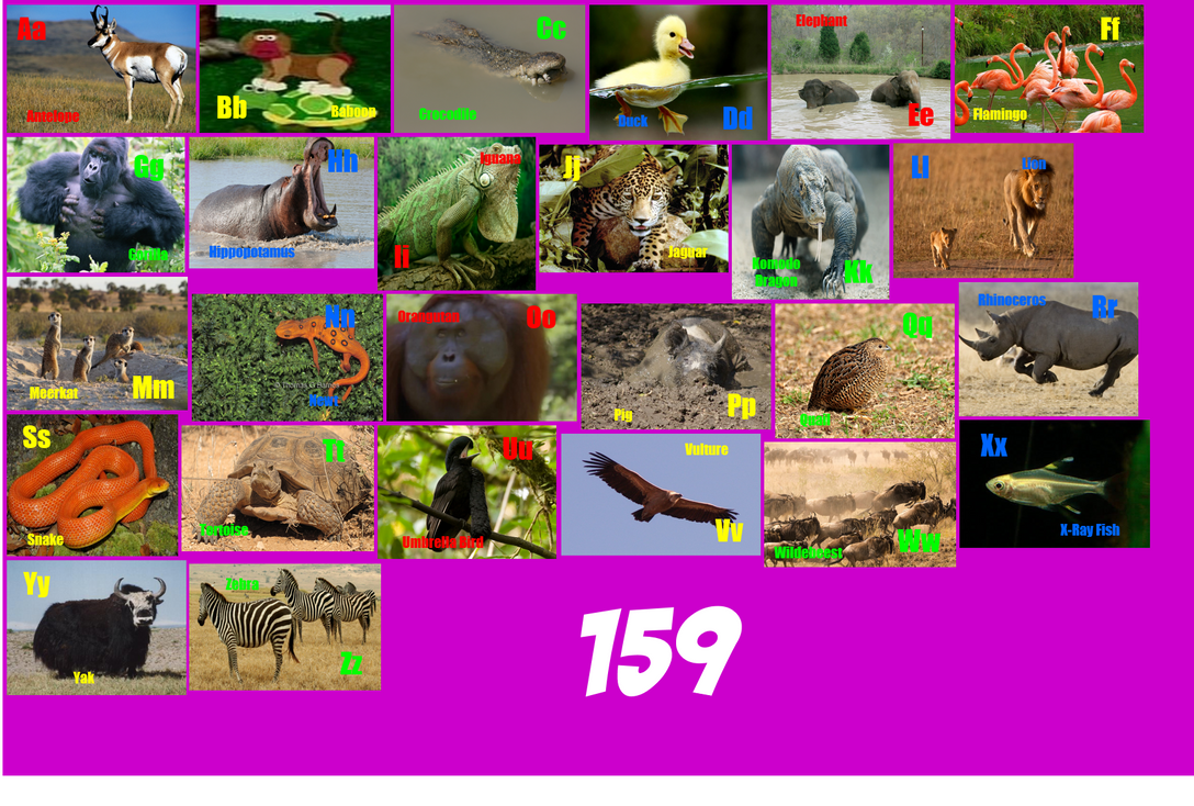 Animal Alphabet 159 by ThomasCarr0806 on DeviantArt