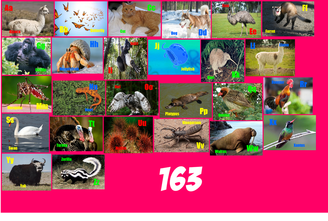 Animal Alphabet 163 By ThomasCarr0806 On DeviantArt Animal alphabet 163 by thomascarr0806 on deviantart
