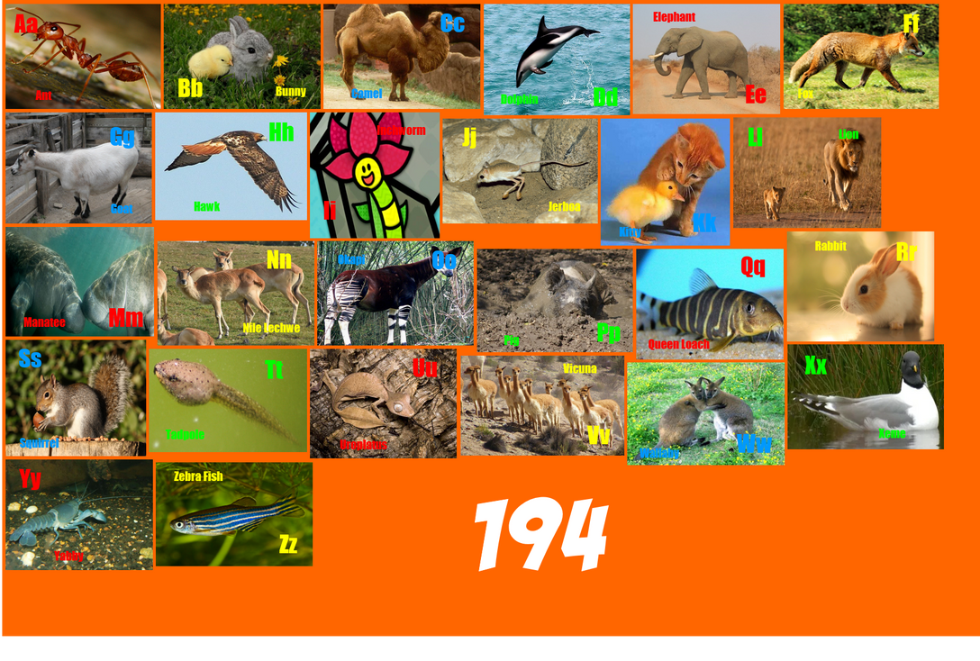 Animal Alphabet 194 by ThomasCarr0806 on DeviantArt