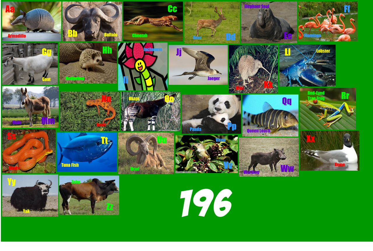 Animal Alphabet 196 By ThomasCarr0806 On DeviantArt animal-alphabet-196-by-thomascarr0806-on-deviantart