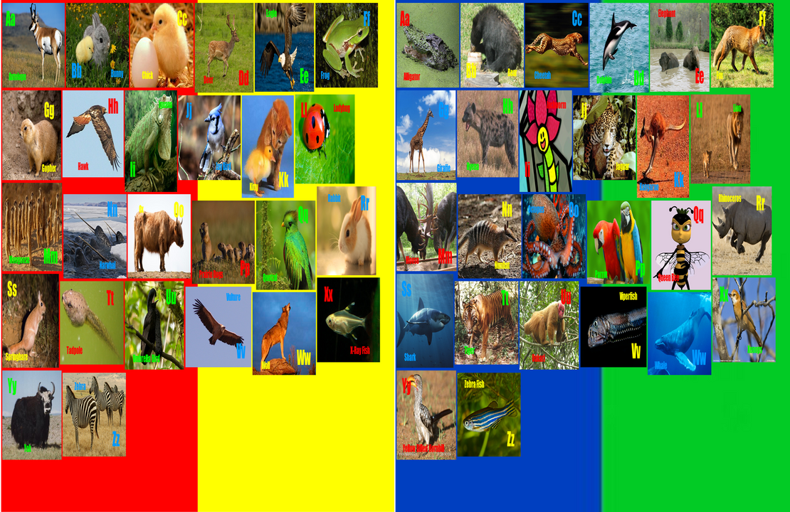 Double Abc Double Animal Alphabet by ThomasCarr0806 on DeviantArt