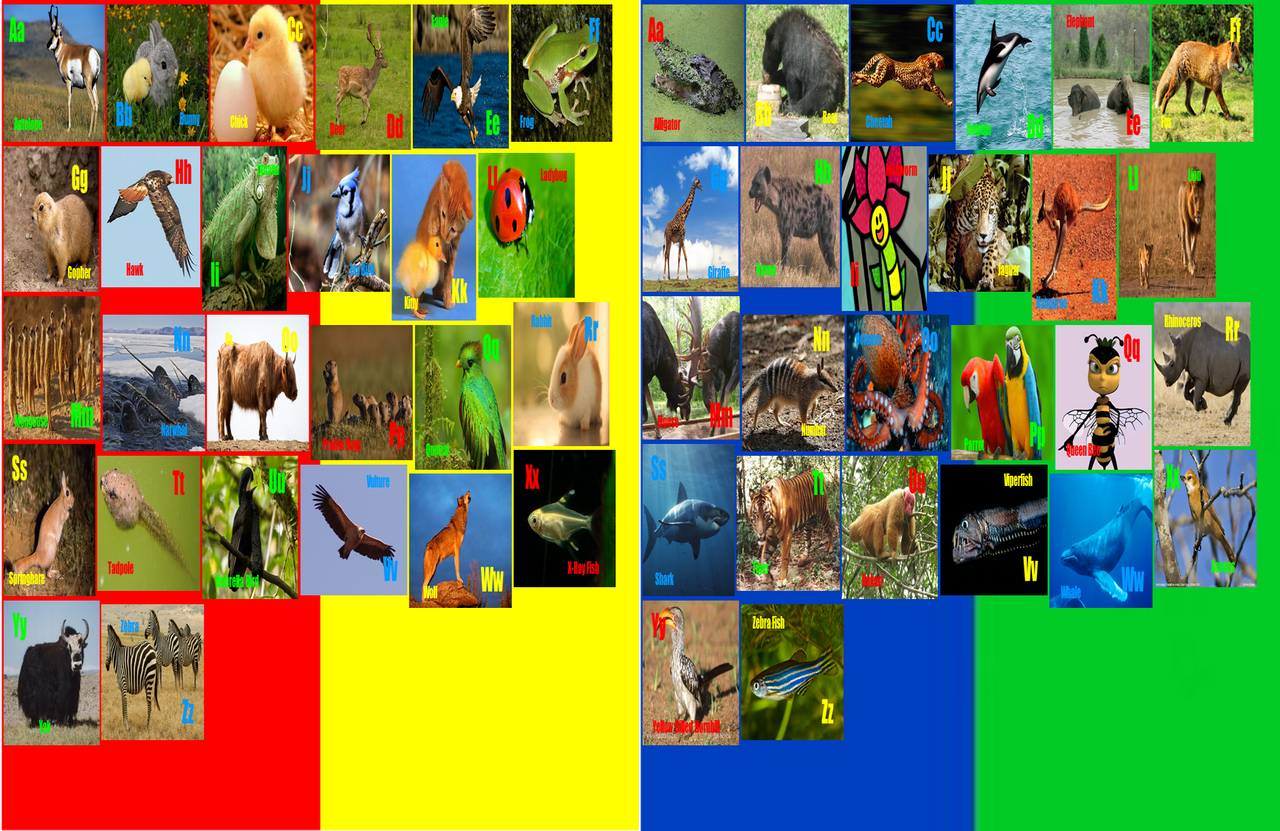 Double Animal Alphabet By ThomasCarr0806 On DeviantArt double-animal-alphabet-by-thomascarr0806-on-deviantart