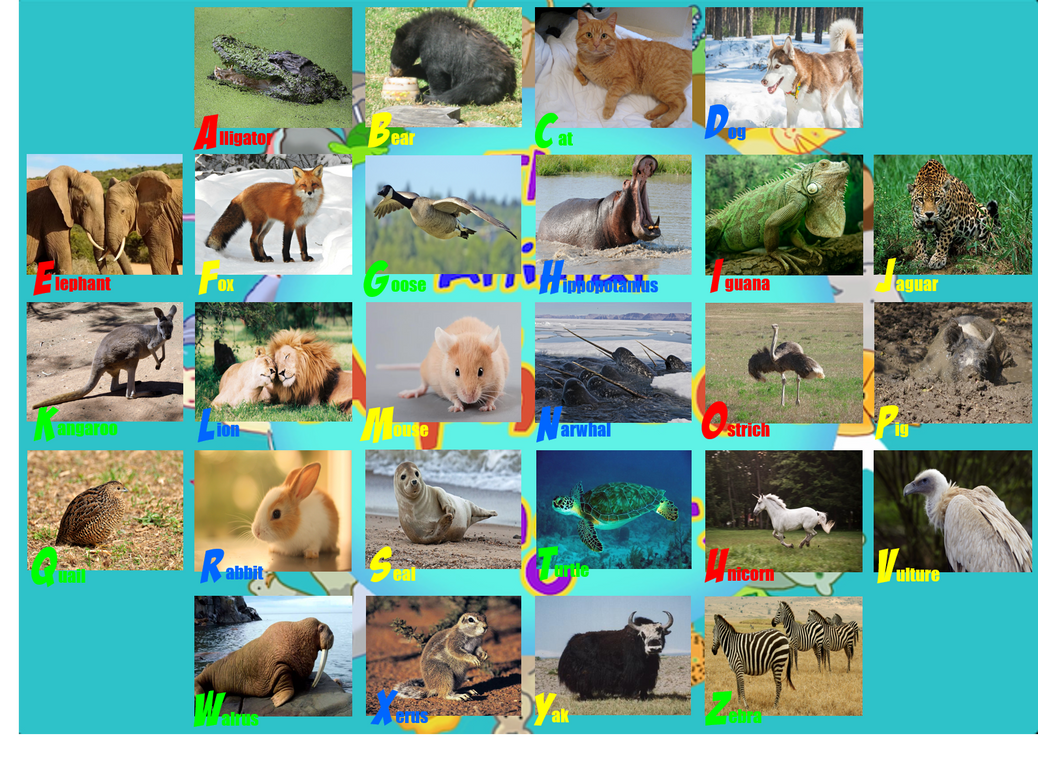 Animal Alphabet Singers Photo Rug by ThomasCarr0806 on DeviantArt