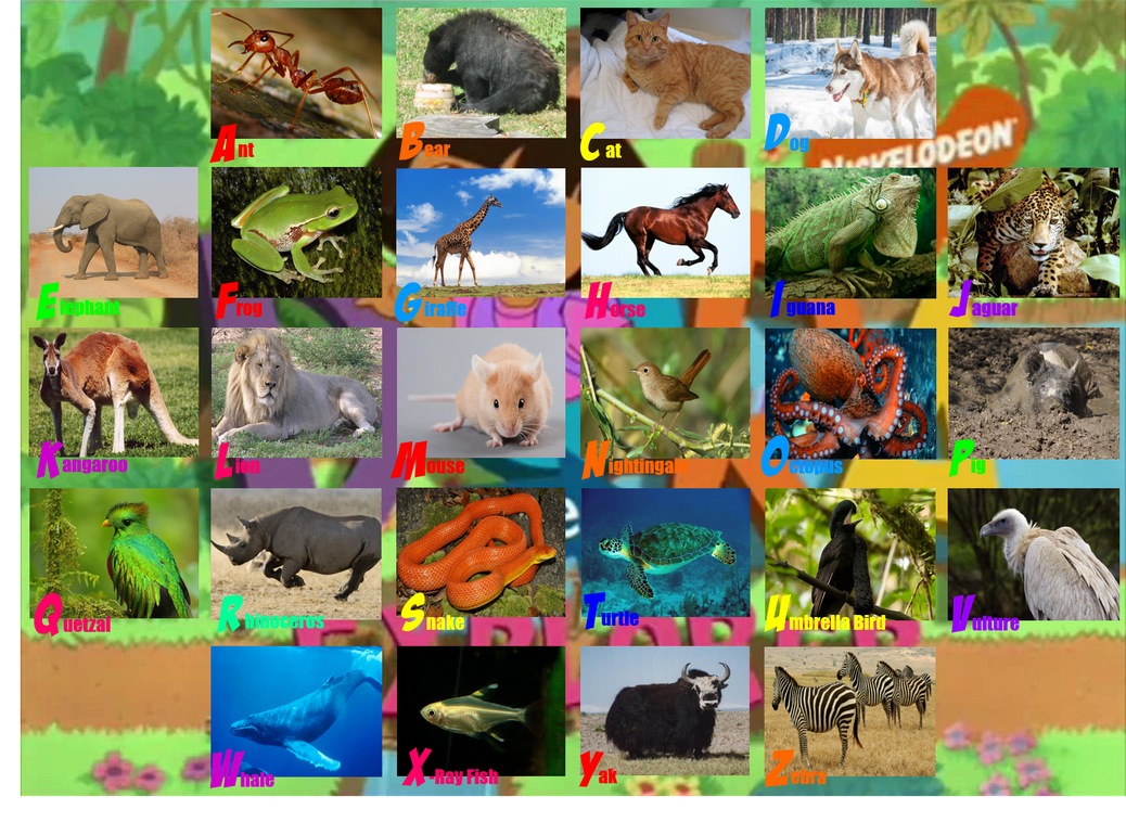 Dora The Explorer s Animal Alphabet Photo Rug By ThomasCarr0806 On dora-the-explorer-s-animal-alphabet-photo-rug-by-thomascarr0806-on