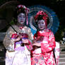 Kyoto Maiko Girls