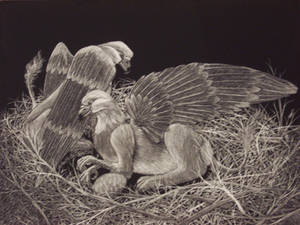 Gryphons Nesting