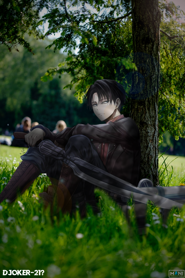 Levi Ackerman By Djoker21x On Deviantart