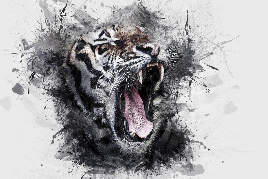 Рисунки в формате jpg. Оскал тигра. Тигр рычит. Оскал рисунок. Тигр арт.