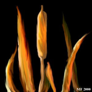 Fire Cattails by squashed-toad on DeviantArt