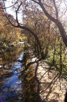 A Fall Morning