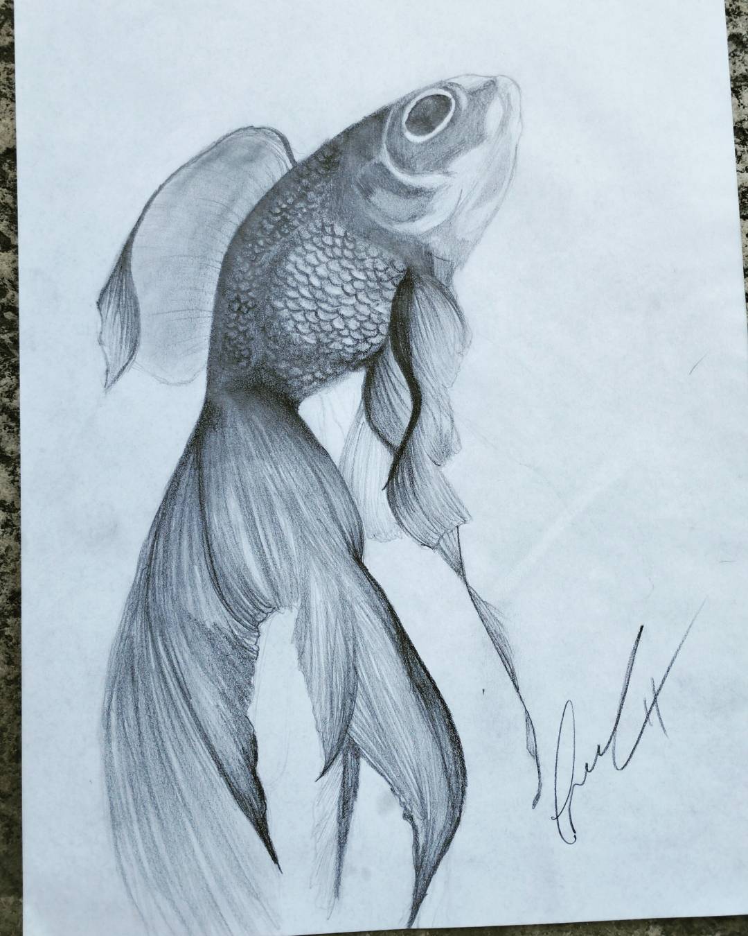 My little fish by Artexecellent on DeviantArt