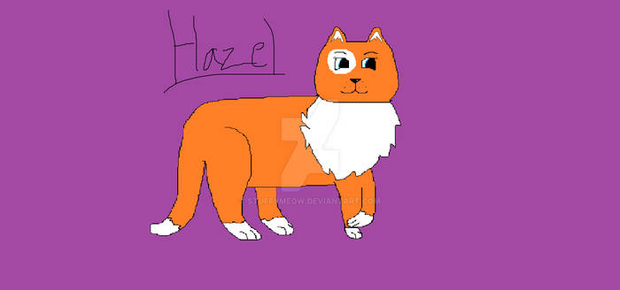 Hazel The Cat