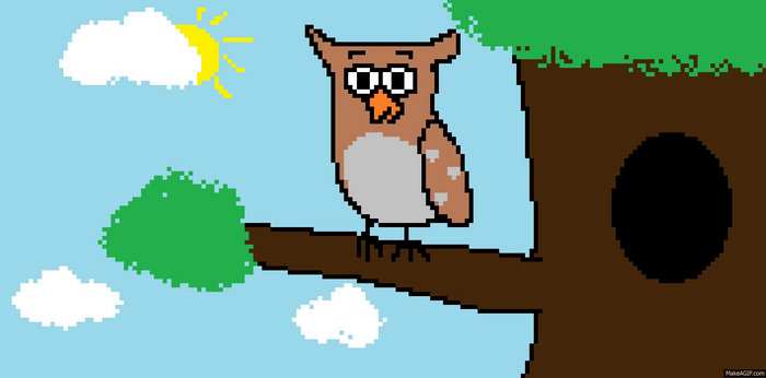 Owl Gif