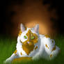 Daisyheart ~ #12 Warrior Cats Fanart