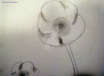 sketched flower