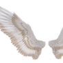Wings I