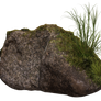 Mossy Rock II