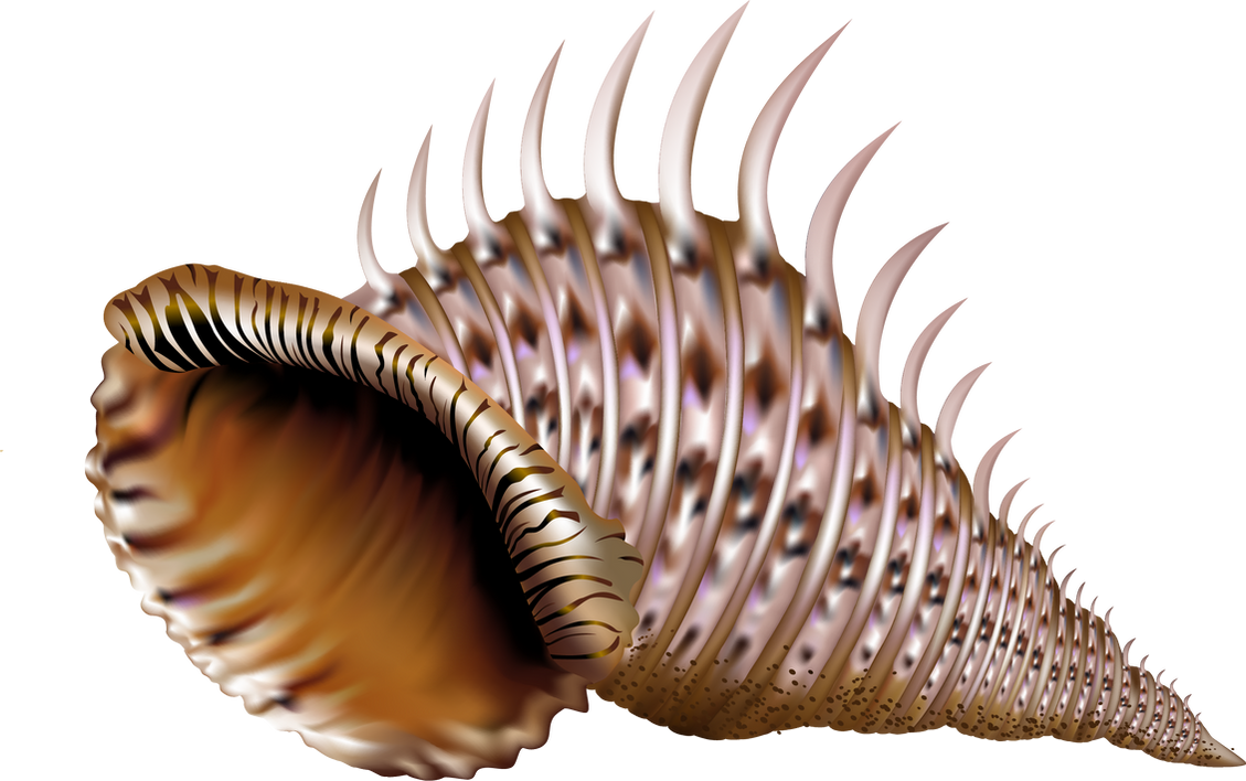 Slephant Shell shell by SuicideOmen on DeviantArt