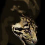 WIP - Clouded Leopard