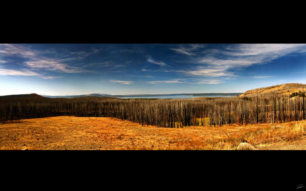 Yellow Stone National Park