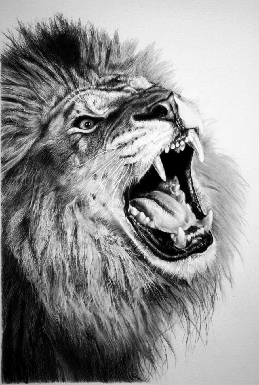 pencil lion