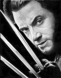 Wolverine