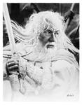 Gandalf the white by francoclun