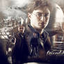 Harry Potter Blend